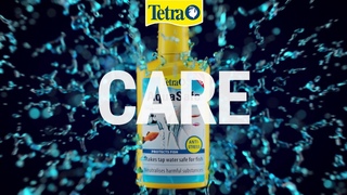 Tetra | Лучший выбор - Уход