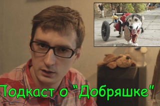 Подкаст о Добряшке