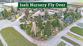 A birds Eye View of Iseli Nursery Midwinter