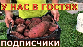 Пробуем КОПАТЬ КАРТОШКУ и едим АРБУЗ!