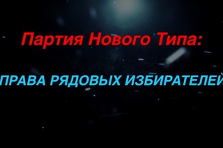 ПНТ: Права рядовых избирателей в конституции ПНТ