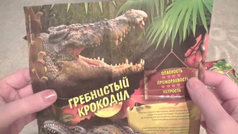 Гекконы и ко Макси Чуть чуть перепутали
