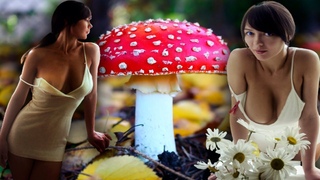 Рост грибов, цветов, ягод Growth of mushrooms, flowers, berries