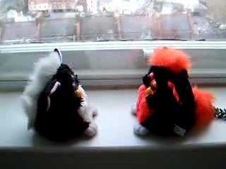 Furby Conversation