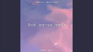 Всё из-за тебя (Summer Remix)
