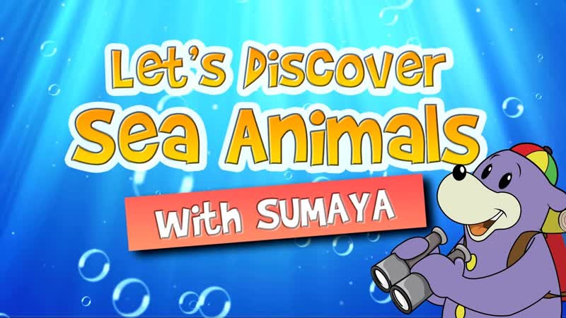 Zaky Discoveries, Sea