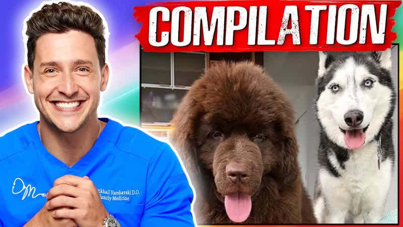 Doctor Mike With His Dogs, Bear and
