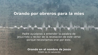 15 | Orando por obreros para la mies