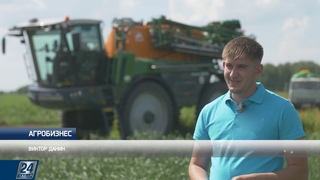 Химизация сельского хозяйства: отказаться или продолжать | Агробизнес