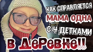 Без мужа тяжко в деревнеКурочки хорошо несутся Противостояние петухов! Все завалило снегом!