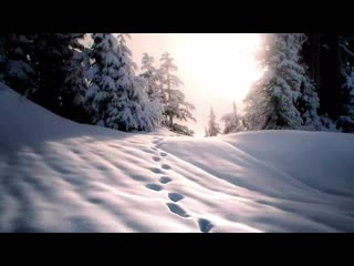 Дрозды-Зiма, Зiма, Каляды