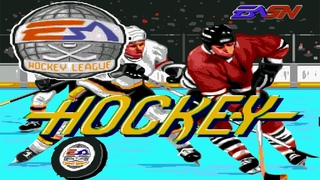 NHL Hockey 91