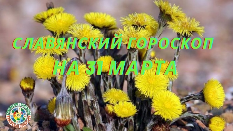 Славянский гороскоп на 31 марта 2021 года. Народный календарь