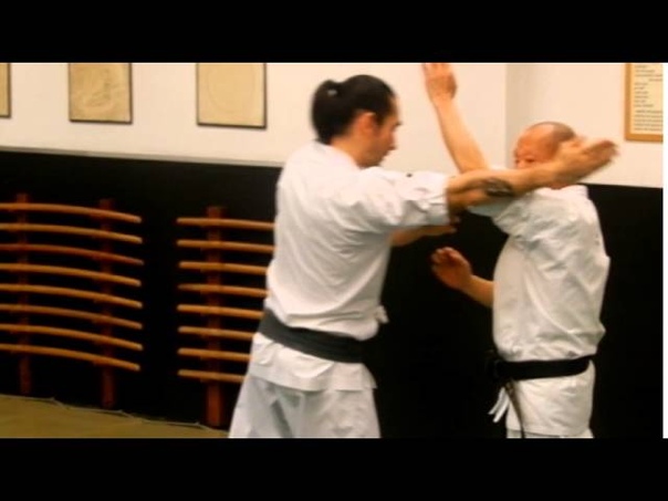 Hino Akira Sensei Jan