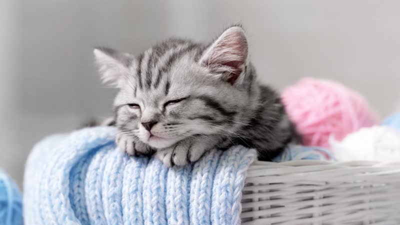 Música para Dormir Bebés, Música Clásica para Dormir, Música Clásica para Bebés, Relajante,