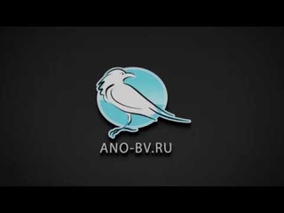 АНО Белая Ворона