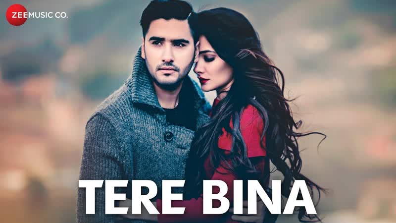 Tere Bina Official Music Video, Amir Sheakh, Renuca