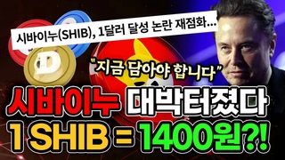 시바이누 코인 “1,400원“ 떡상?! 지금 모조리 쓸어담아야 합니다!