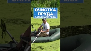 Очистка старого пруда бюджетными средствами. Пруд с рыбой в СНТ #shorts