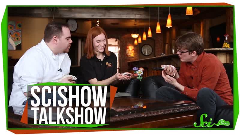Sci Show Talk Show Selective Breeding the