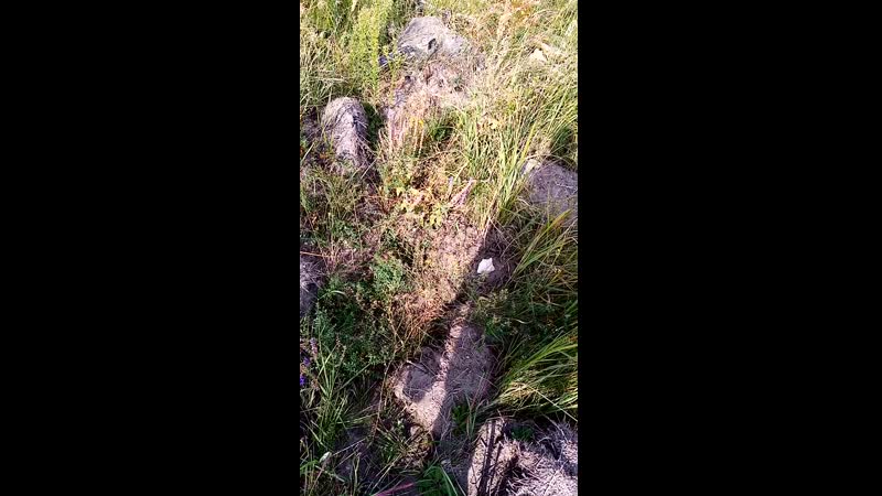 Сидят в каменных джунглях нынешние подростки, глаза в комп