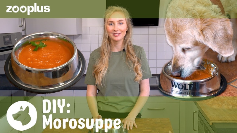 Morosche Karottensuppe für den Hund, Tierisch einfach: DIY mit