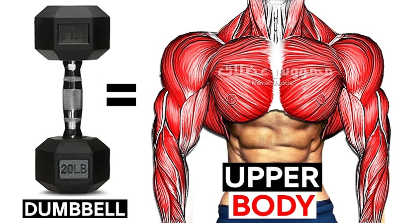 UPPER BODY WORKOUT WITH DUMBBELLS ( Shoulder forearms chest triceps back