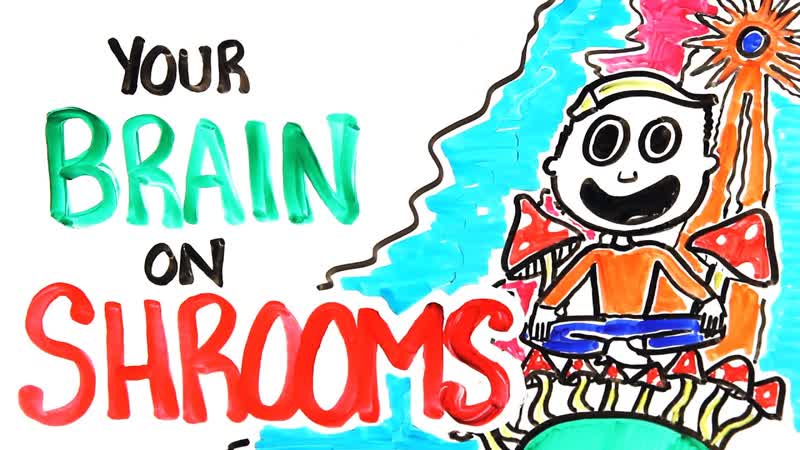 Your Brain On