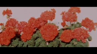 Super  8 - Peckham, June 2019 - Proskar Ishico Anamorphic and Kodak Ektachrome 7285