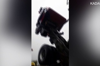 Встал на дыбы. Калининград.