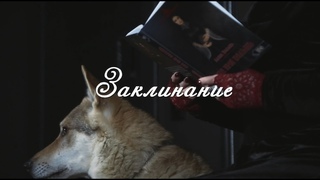 Заклинание. Во болотах жабы живут...