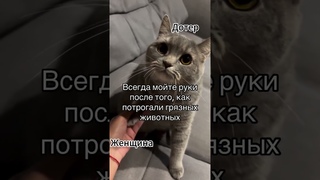 ВОПРОСЫ #shorts #рекомендации #дота #дота2 #dota2clips #dota2shorts #dota2 #fyr #leagueoflegends