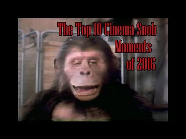 The Top 10 Cinema Snob Moments of