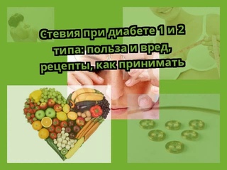 Стевия при диабете 1 и 2 типа: польза и вред, рецепты, как принимать