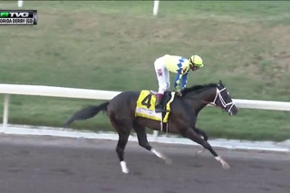 RACE REPLAY: 2017 Florida Derby Featuring Always Dreaming