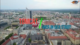 Tomcat - Hier in der Stadt