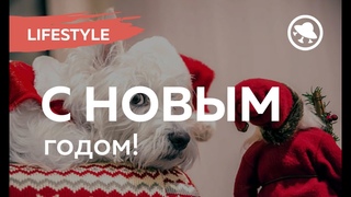 Новогоднее поздравление от Капитана Ивана