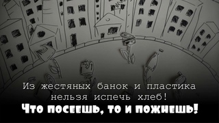 37 лицей Экология Что посеешь