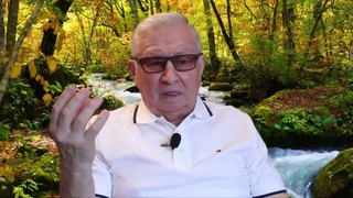 Борис Ратников. Чистота помыслов человека -  прямой путь к личному счастью