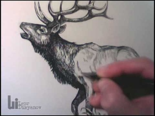 Drawing an Elk by Igor Lukyanov (Cross-Hatching Technique)