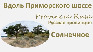Солнечное.  Вдоль Приморского шоссе. Выпуск 3. Provincia Rusa.