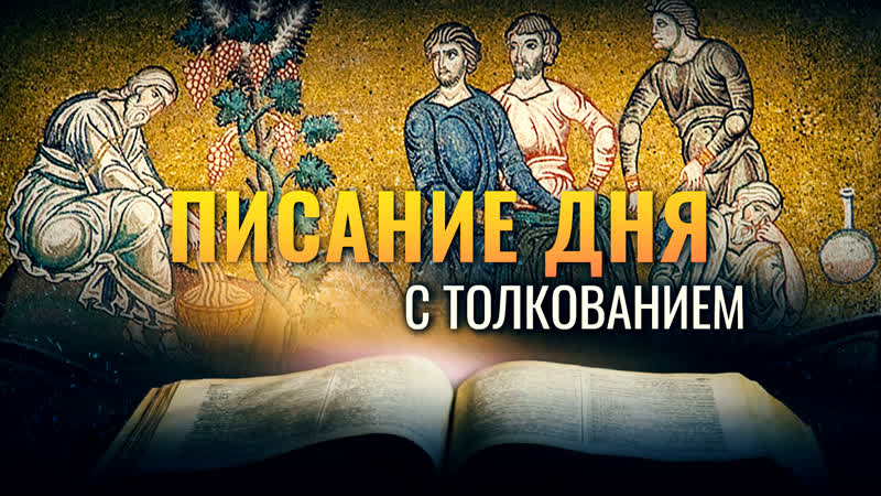 НАЧАЛ ВОЗДЕЛЫВАТЬ ЗЕМЛЮ И НАСАДИЛ ВИНОГРАДНИК , ПИСАНИЕ