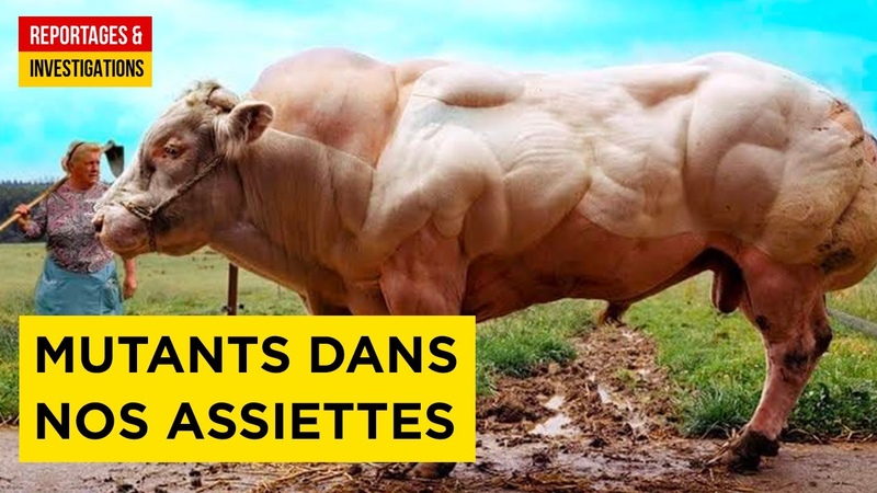 Des mutants dans nos assiettes Viande clonée Consommation