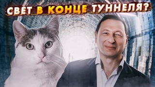 Свет в конце туннеля. Победит ли “партия мира“? (Борис Кагарлицкий и Кот Степан)
