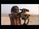 SHIVAS