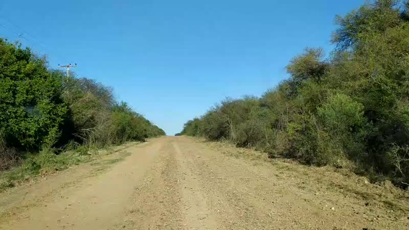 VID_20200921_082216.mp4