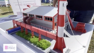 День сибирского поля 2024