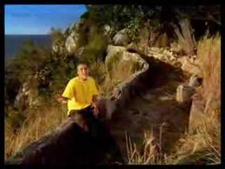 Shawn Desman - Spread my Wings