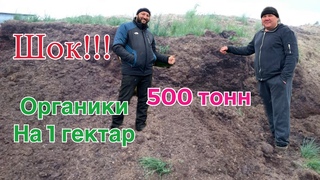 Шок !!! 500 тонн органики на 1 гектар