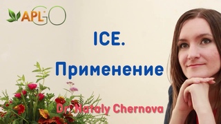 ICE. Неизвестные факты о возможностях продукта